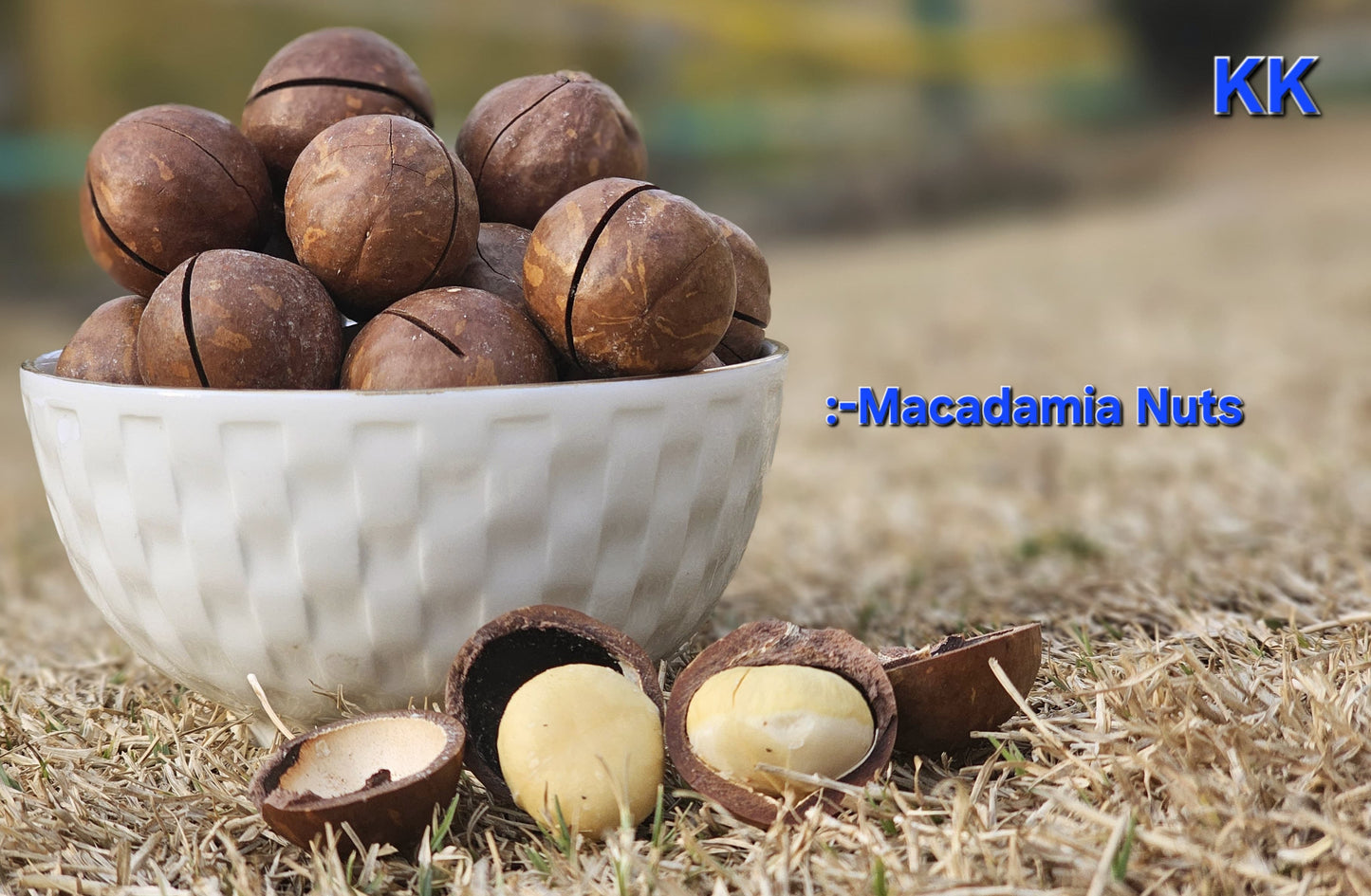 Macadamia Nuts