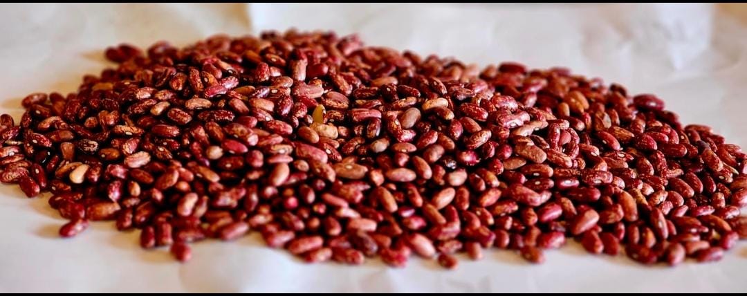 Kashmiri Rajma