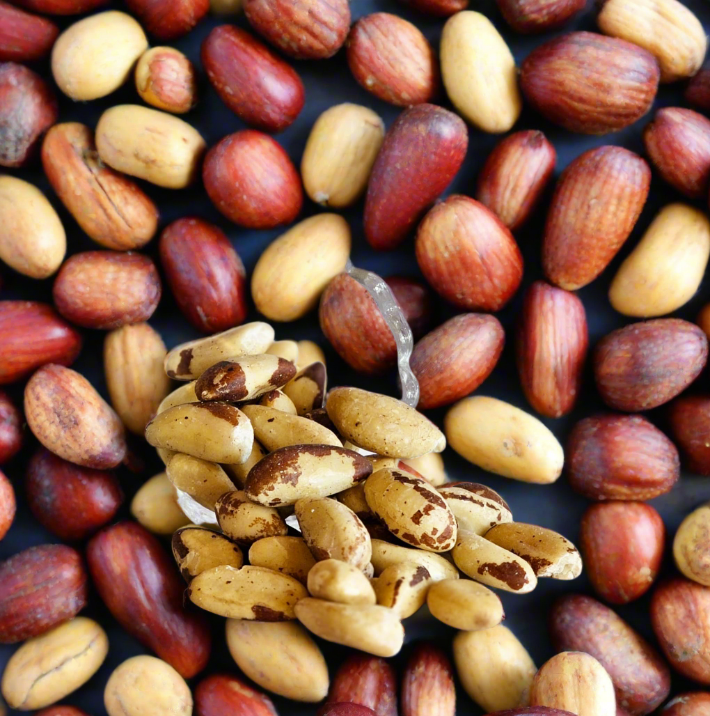 Brazil Nuts