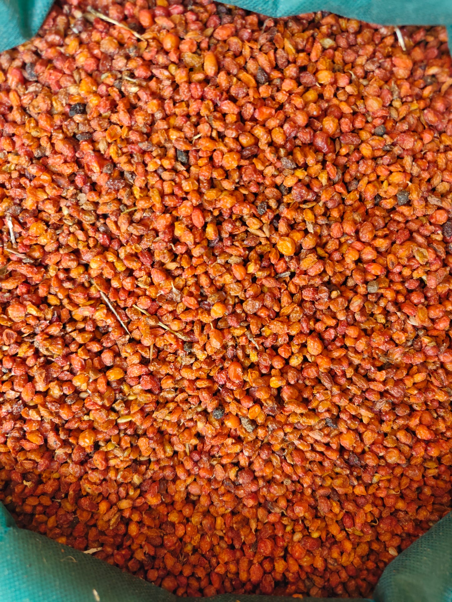 Sea buckthorn