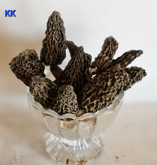 Wild Mushroom
